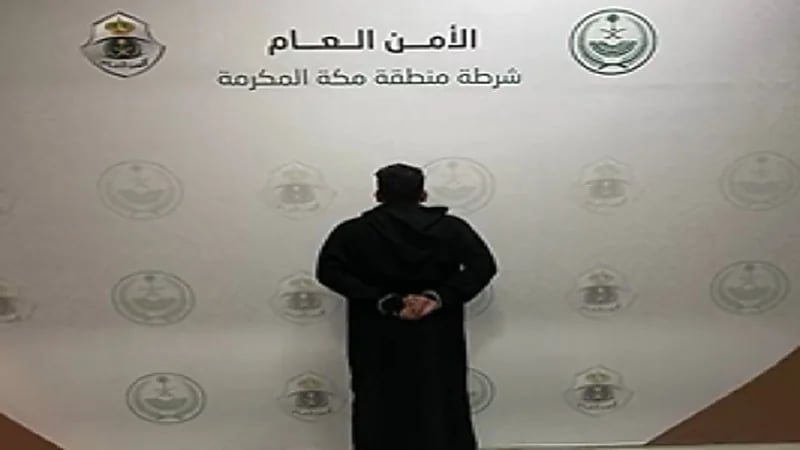 بالفيديو.. ضبط مواطنين تورطوا في جرائم سرقة ونقل مخالفين