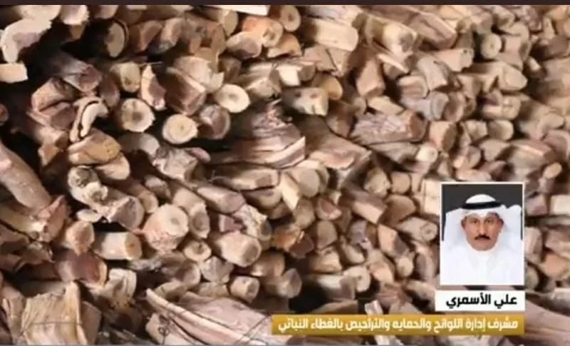 مختص ينصح بشراء الحطب والفحم المستورد والابتعاد عن المحلي