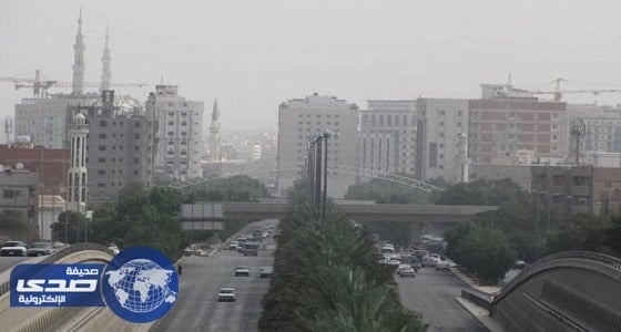 بالفيديو.. مواطن يحول الأشجار التي أمام منزله إلى مظلة