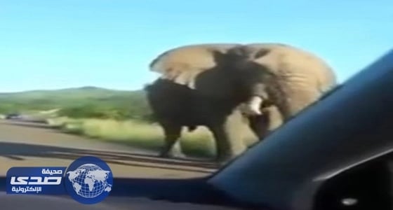 بالفيديو.. خالد الفراج يقلد الدكتور نزار باهبري في " استوديو 21 "