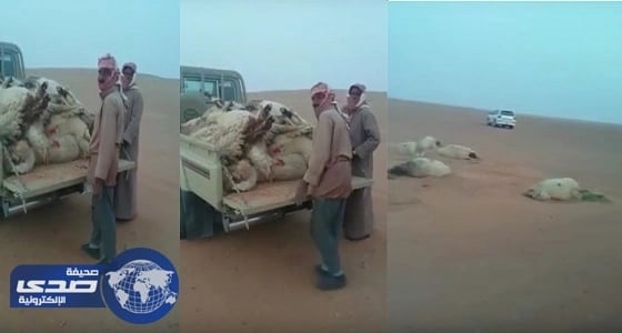 بالفيديو.. فتاة ترقص داخل الجامعة