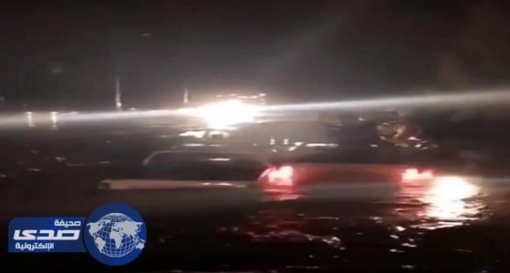 بالفيديو.. إحباط محاولة لتهريب 900 كرز سجائر للمملكة