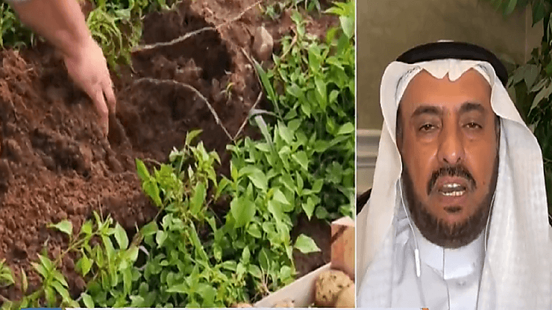 "استشاري": يجب عدم تخزين المواد الغذائية لأكثر من أسبوع (فيديو)