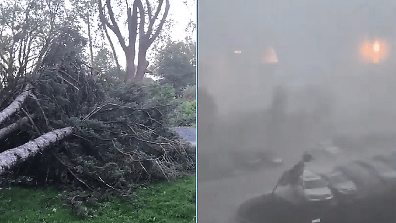 شاهد.. عواصف عنيفة في كندا تؤدي لمقتل 4 أشخاص