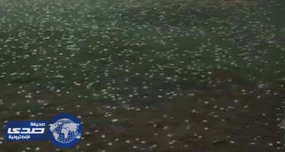 بالفيديو.. نشطاء يوثقون هطول زخات البرد و أمطار الرياض