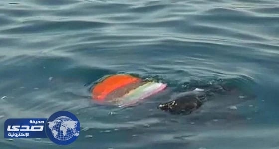 غرق 12 سوريا بينهم 5 أطفال قبالة سواحل تركيا