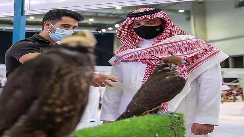 وزير الداخلية: رأيت في المزاد الدولي للصقور ما يسرني ويسعد كل مهتم بهذه الرياضة