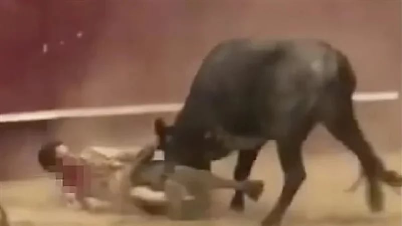 هجوم مميت من ثور على رجل رقص معه في مهرجان سنوي