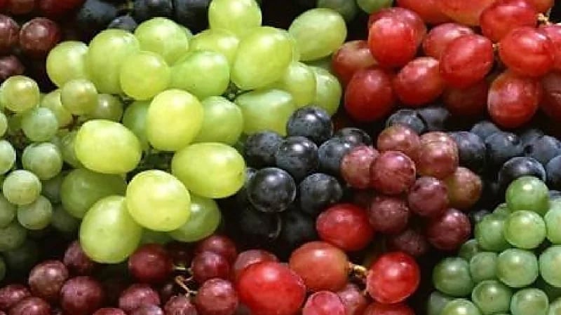 دراسة : "العنب" هو الفاكهة رقم 1 لعمر أطول