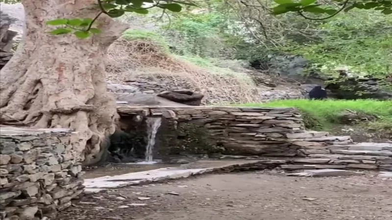 شاهد.. قرية ذي عين الأثرية التي حباها الله بعين لا تنضب