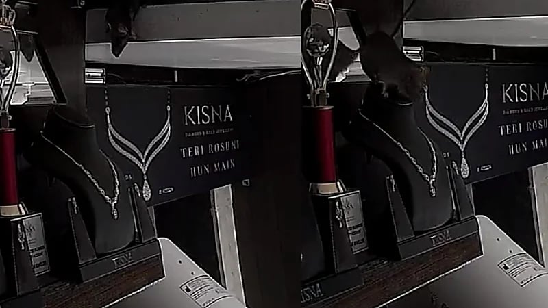 بالفيديو .. فأر يسرق عقداً من الألماس