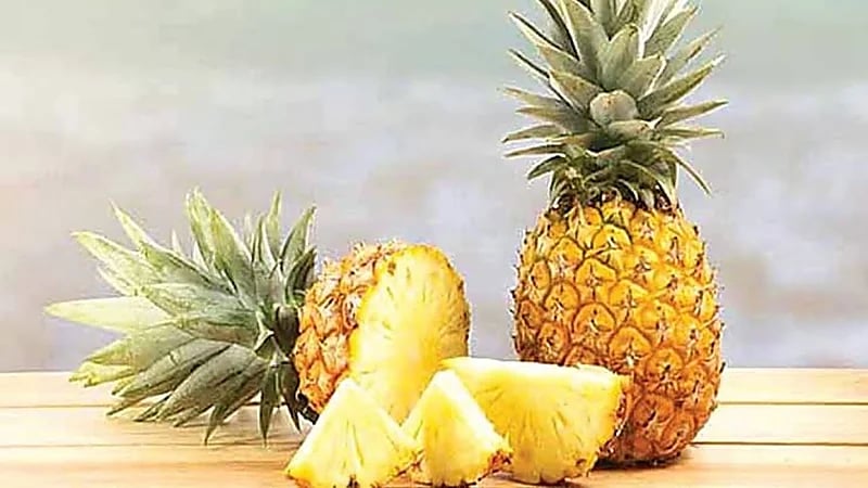 القحطاني: الأناناس يساعد على إنقاص الوزن