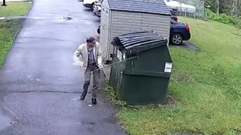 شاهد .. دب ضخم مختبئ في حاوية قمامة يقفز في وجه مدير مدرسة