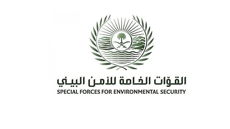 ضبط مخالف لنظام البيئة لاقتلاعه 24 شجرة دون ترخيص في المدينة المنورة