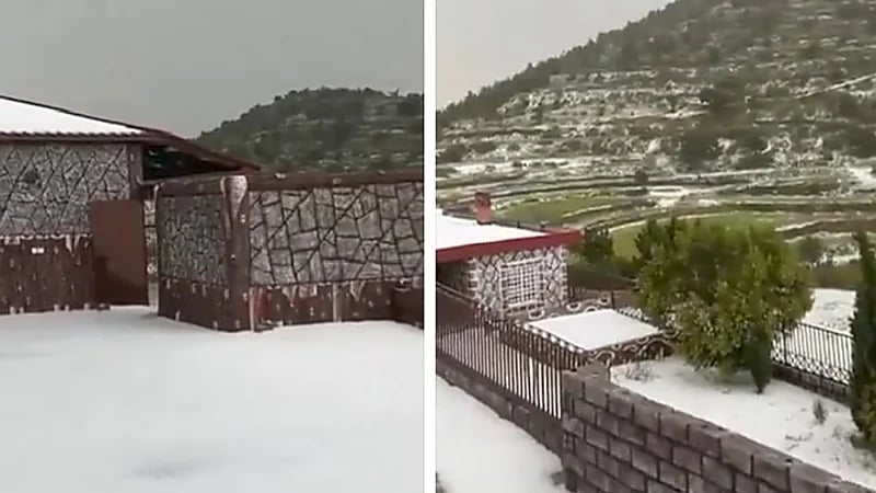 مشهد جميل من بردية مرتفعات السودة في عسير .. فيديو