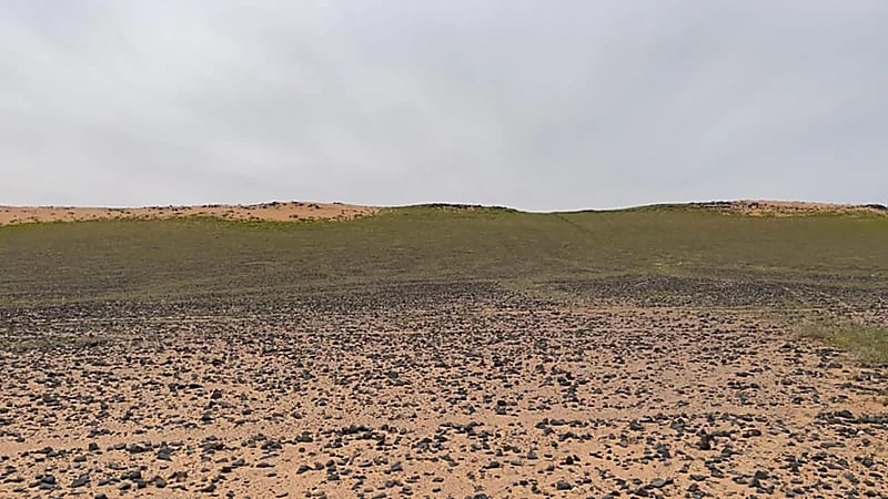 القبض على مواطن لارتكابه مخالفة الصيد بمحمية الملك عبدالعزيز