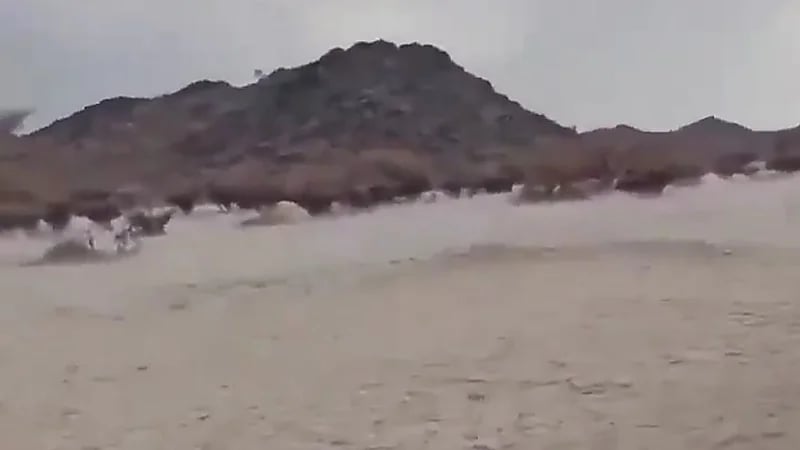 الضباب والبرد يكسو جنوب بيشة ..فيديو