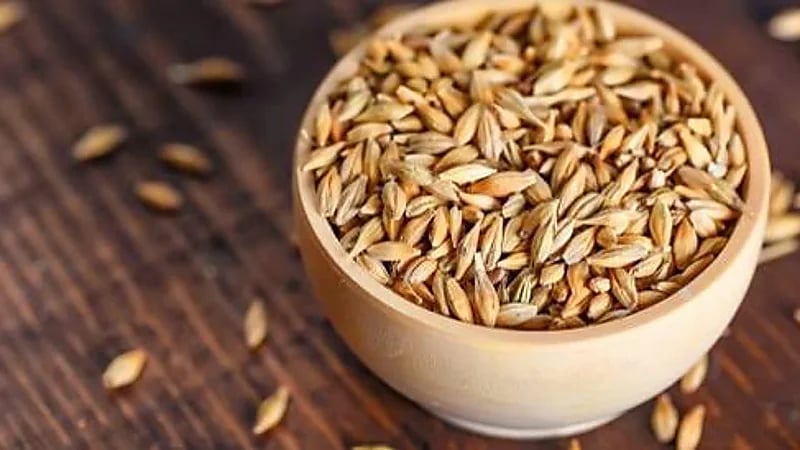 خبيرة: الشعير يحارب الكولسترول والاكتئاب ولا يغني عنه مشروب البيرة