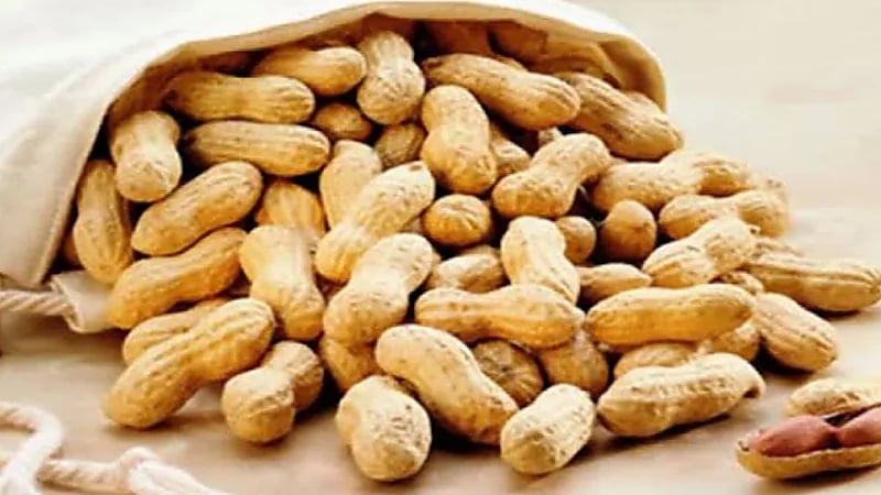 خبير مناعة: الفول السوداني غذاء متكامل يدعم القلب والمناعة وينظم سكر الدم