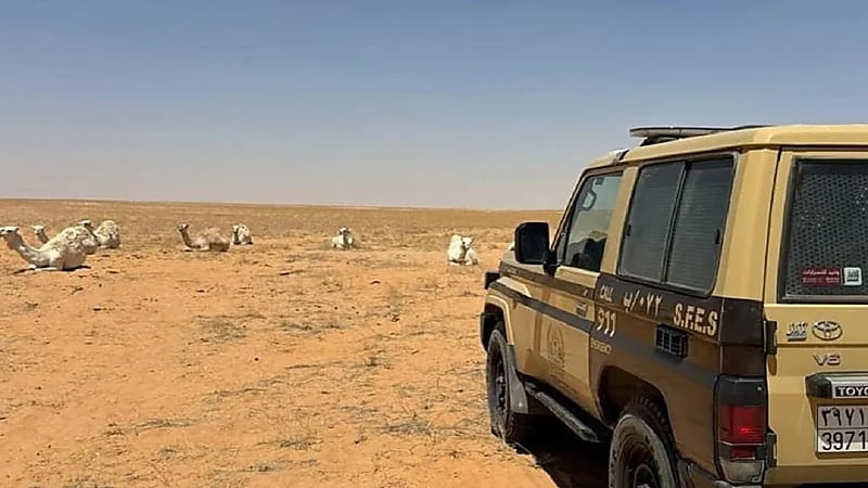 ضبط 3 مواطنين لمخالفتهم لنظام البيئة