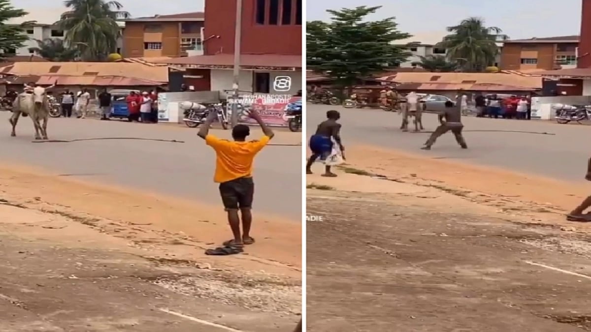 WhatsApp Image 2025-10-02 at 11.16.04 PM.jpeg