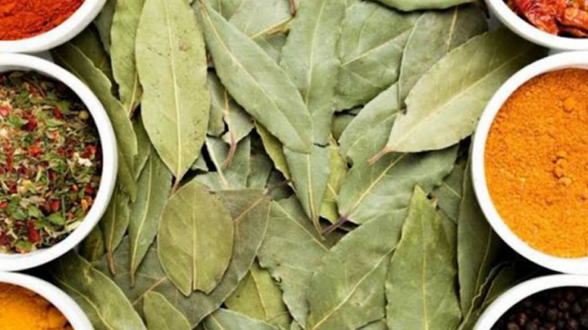 WhatsApp Image 2025-10-07 at 7.18.13 PM.jpeg