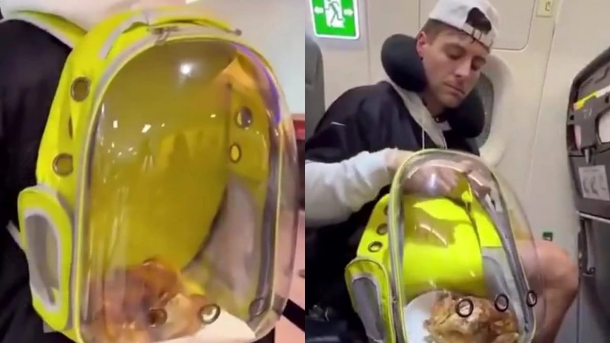 شاب يثير دهشة موظفي المطار بحجز مقعد لدجاجة مشوية على الطائرة  .. فيديو