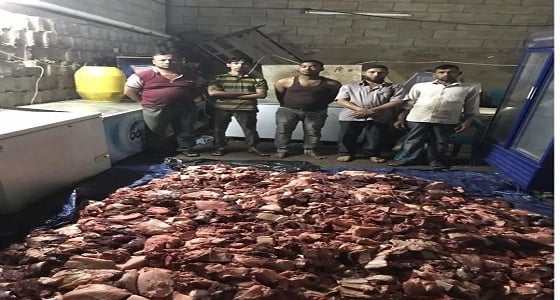 بالصور.. ضبط مسلخ مخالف للإبل بخميس مشيط يديره عمالة آسيوية