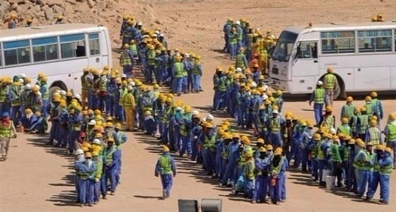 العمل الدولية تضع قطر تحت الوصاية