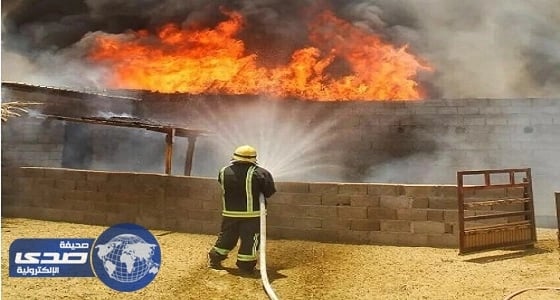 بالصور.. السيطرة علي حريق في حظيرة أغنام بحائل