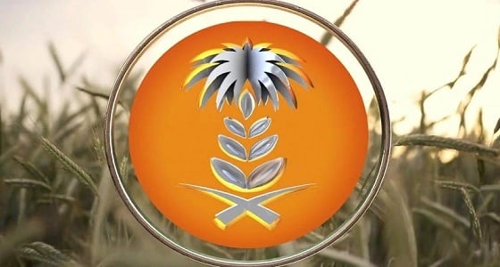 " العامة للحبوب " ترسي الدفعة الخامسة من الشعير العلفي المستورد لهذا العام