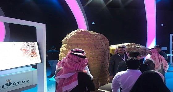 مجسمات الفطر الصخري وصخرة الفيل تجذب زائري جناح المساحة الجيولوجية بالجنادرية