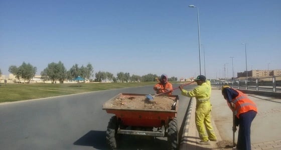 بالصور.. أمانة الشمالية تولي اهتماما خاصا بالنظافة