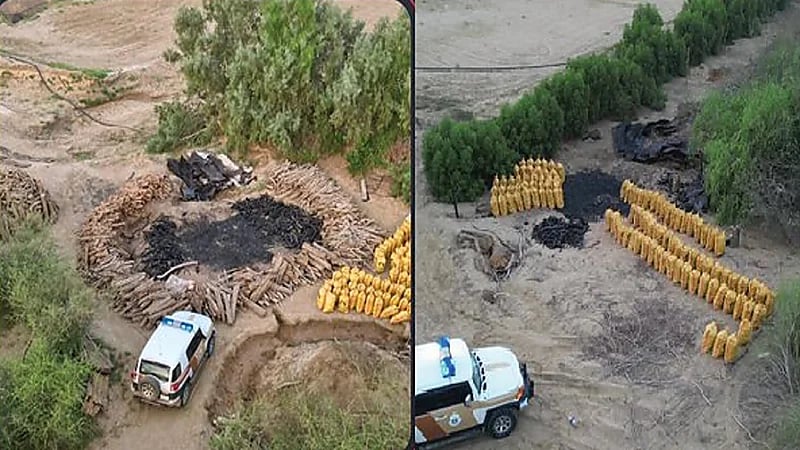 ضبط 4 مقيمين مخالفين لنظام البيئة في القنفذة.. فيديو