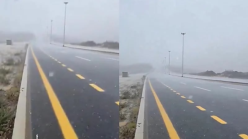 أمطار الخير تتسابق في أبها وتروي الأرض .. فيديو