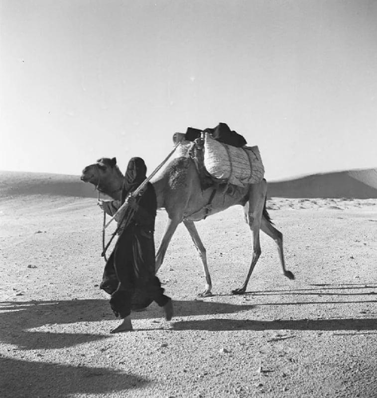 صورة مليئة بالجمال لامرأة من المنطقة الشرقية قديما