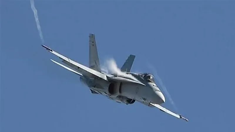 هبوط اضطراري لمقاتلة أمريكية بسبب طائر صغير