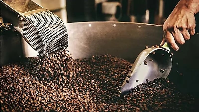 أسعار البن العالمية تسجل ارتفاعًا تاريخيًا والمملكة تعزز إنتاجها المحلي