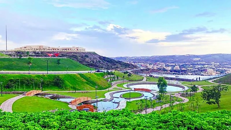 مواطن يعفو عن داهس ابنته في الباحة 