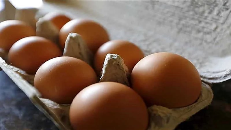 "البيئة" تحذر من منتجات دواجن محلية بالأسواق غير مطابقة للمواصفات