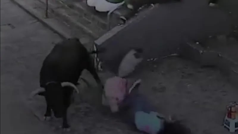 ثور هائج يتسبب بحالة من الهلع ويصيب 5 أشخاص في الشارع .. فيديو