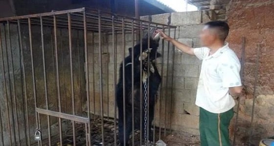 بالصور.. رجل يفاجأ بحيوانه الأليف يتحول لوحش مفترس