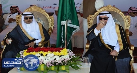 بالصور.. وكيل وزير البيئة يدشن مرافئ للصيادين بالمدينة