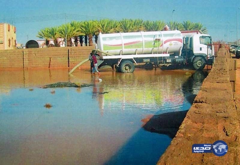 تجفيف 85 مستنقعا مائيا بالطائف.. ومعالجة مياه البرك كميائيا