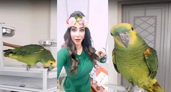 شاهد.. رد فعل ببغاء لجين عمران عند عودتها من السفر