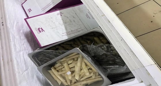 بالصور .. إتلاف 335 كيلو مواد غذائية غير صالحة في قباء
