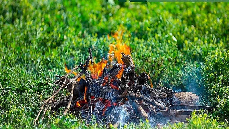 ضبط مواطن لإشعاله النار في أراضي الغطاء النباتي بالرياض