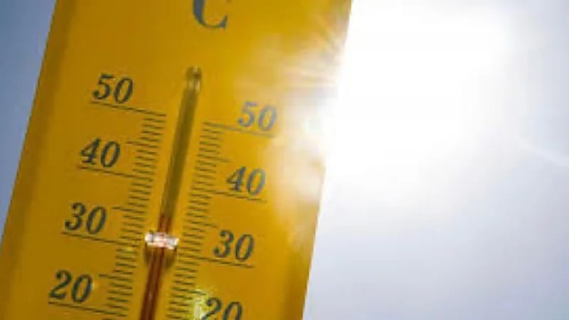 الصين تحذر من موجة حر تشكل تهديدًا خطيرًا على المحاصيل