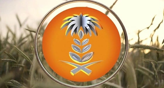 " الحبوب " تعلن عن بدء تنفيذ عدد من الإجراءات الوقائية بمحطة شعير ضباء