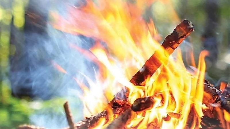 ضبط مواطن مخالف لنظام البيئة